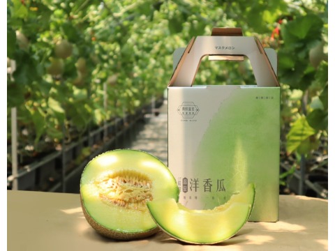 【期間限定 阿露斯洋香瓜單入禮盒(1.8kg/顆)】香甜多汁、最頂級的綠肉哈密瓜