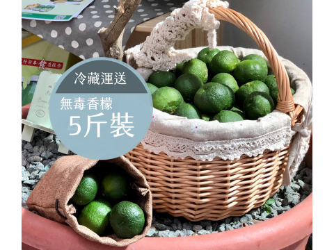 【冷藏出貨-天然無毒 台灣香檬 5斤裝】台灣原生山桔仔 農民們希望的果實!