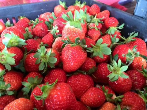 【產量稀少 馬拉邦山無毒草莓 3斤團購組】完全不噴農藥的自然栽培草莓