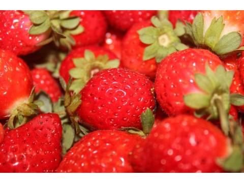 【季節限定 草莓果醬】滿滿果肉 食研所檢驗合格 