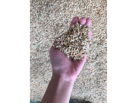 【御皇糙米 2kg】來自後山花蓮百年東里碾米廠 飽含來自土地的礦物質!