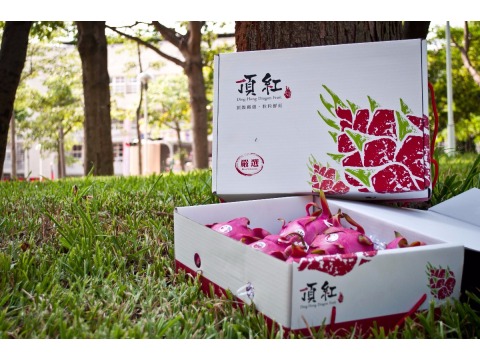 【頂紅火龍果 - 頂級紅肉7斤裝禮盒(約5-7顆)】送禮的第一選擇！