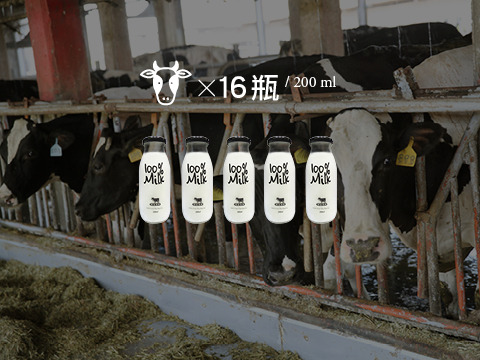 【200ml 明全玻璃瓶鮮乳 16瓶組】超高標準牧場管理的牛奶 第二代瞞著父親也要完成的使命鮮奶
