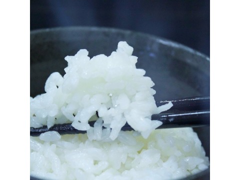桃園3號芋香白米-幸福好米-友善栽培-阿燈冠軍米
