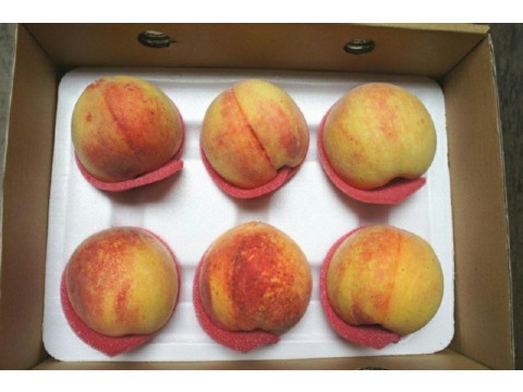 【限量！ 鮮甜多汁 高山水蜜桃 6入裝】入口即化的陽光部落水蜜桃！