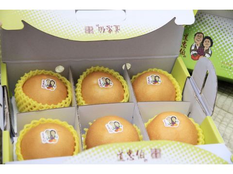【道忠伯絹水梨 中級 6入禮盒裝】日本產地花苞培育 給自家人吃的安心水梨!