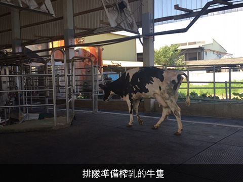 【明德鮮乳 930ml 15瓶免運優惠組】牛奶來自傳承三代的酪農世家 耗資千萬打造全新自動化牧場生產好鮮奶!
