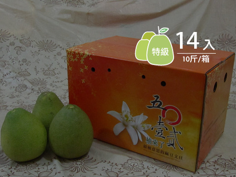 【預購商品 正宗麻豆文旦 特級 10斤裝】承載50年的老柚樹 孕育馥郁酸甜果實