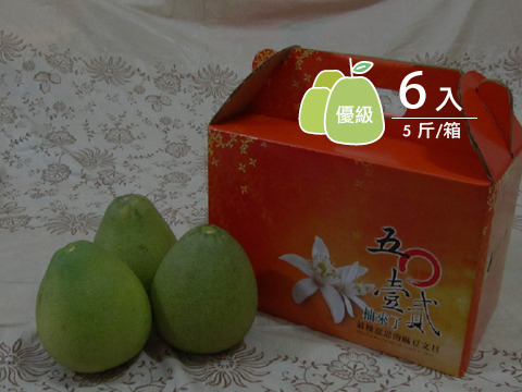 【預購商品 正宗麻豆文旦 優級 5斤裝】承載50年的老柚樹 孕育馥郁酸甜果實