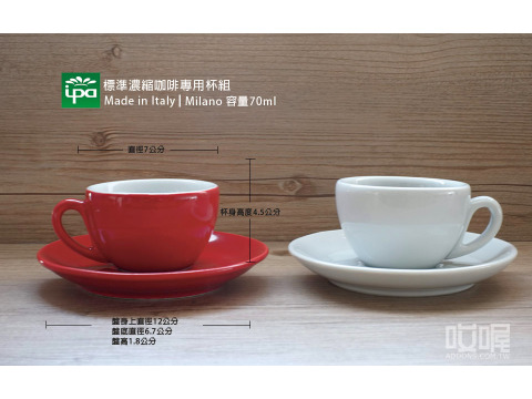 義大利原裝進口 標準濃縮咖啡專用杯組