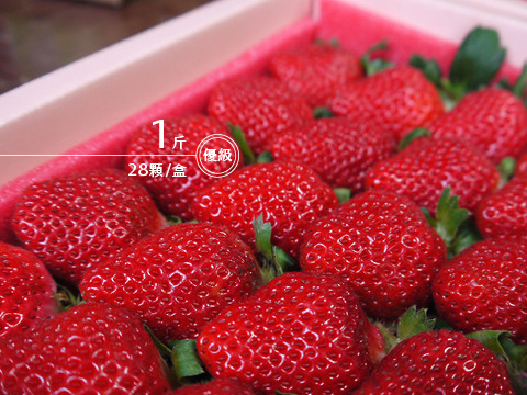 【果香濃郁 有機轉型期草莓 優級1斤裝】天然無汙染 保證安心的健康草莓！