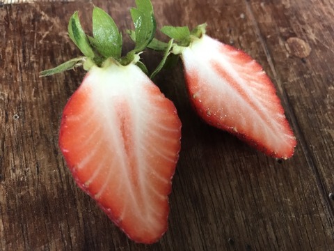 【果香濃郁 有機轉型期草莓 普級5斤團購組】天然無汙染 保證安心的健康草莓！