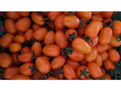 【有機橙蜜香小蕃茄 5斤裝】皮薄多汁 香甜濃郁的小番茄原味！