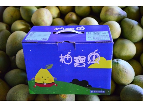 柚寶貝文旦-特優級5斤裝禮盒