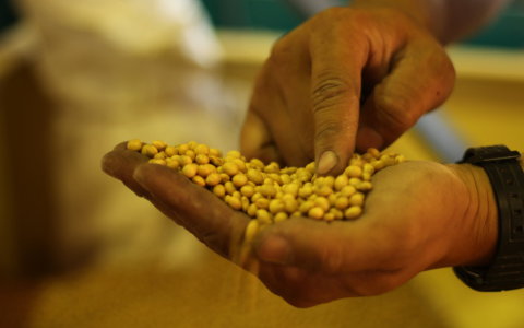 鮮豆老爹soyapapa
