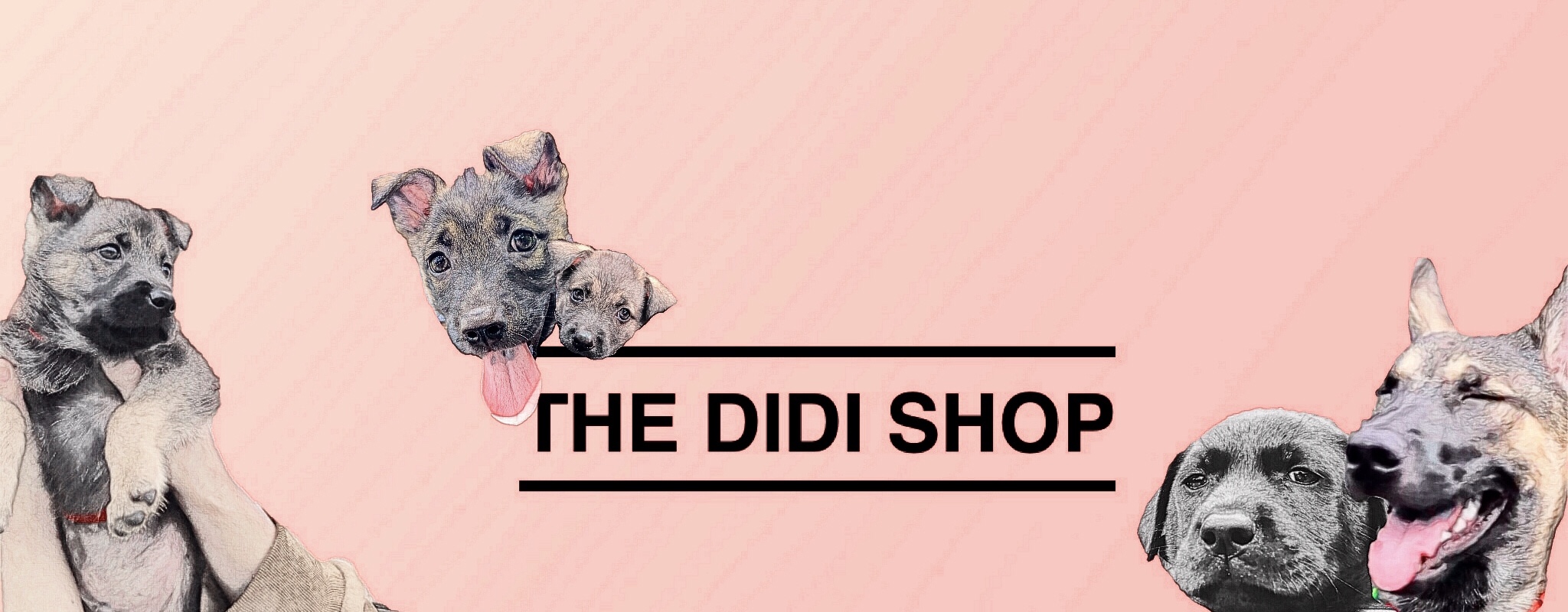 THE DiDi SHOP 